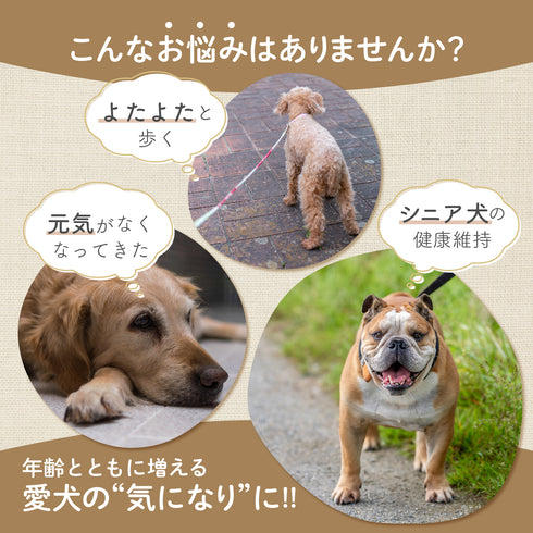 イキイキサプリ 和漢(20g/50g)鹿肉(50g/100g) 【動物病院取扱】元気がない 体力の低下 食欲 元気 栄養補助 毛艶 犬用サプリメント ペットサプリ ふりかけ ペット和漢 鹿肉 国産 天然素材 食品添加物無添加 健康サプリ わんぽうやく