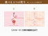 《薬膳茶ギフト》薬膳茶10包入り×3点セット 6種類から選べる(大棗茶 陳皮茶 桂皮茶 山査子茶 蘇葉茶 薄荷茶)紅茶 薬膳茶