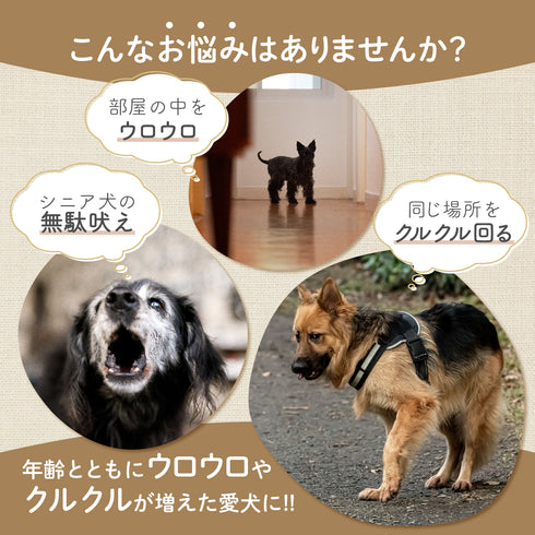 スラスラサプリ 和漢(20g/50g)鹿肉(50g/100g) 【動物病院取扱】認知 シニア犬 ウロウロ グルグル アレルギー 老犬 高齢犬 犬用サプリメント ペットサプリ ふりかけ ペット和漢 鹿肉 国産 天然素材 食品添加物無添加 健康サプリ わんぽうやく