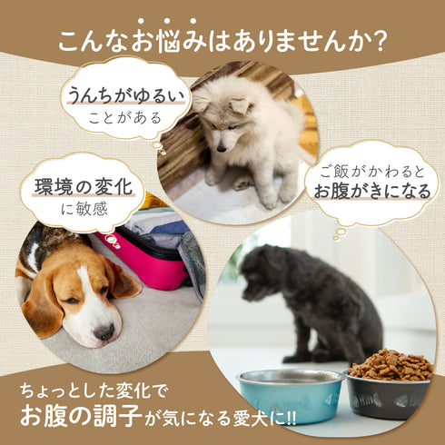 ピタッとサプリ 和漢(20g/50g)鹿肉(50g/100g) 【動物病院取扱】お腹が弱い ウンチがゆるい おなか アレルギー ストレス 環境の変化 アレルギー 犬用サプリメント ペットサプリ ふりかけ ペット和漢 鹿肉 国産 天然素材 食品添加物無添加 健康サプリ わんぽうやく