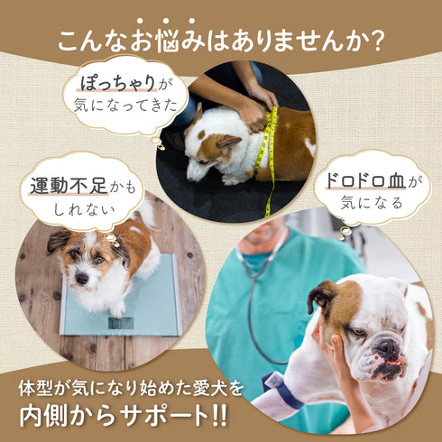 メラメラサプリ 和漢(20g/50g)鹿肉(50g/100g) 【動物病院取扱】ダイエット コレステロール 体重が気になる ぽっちゃり アレルギー 運動不足 お腹の脂肪 体型 犬用サプリメント ペットサプリ ふりかけ ペット和漢 鹿肉 国産 天然素材 食品添加物無添加 健康サプリ わんぽうやく