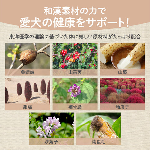 もれピタサプリ 和漢(20g/50g)鹿肉(50g/100g) 【動物病院取扱】尿漏れ 尿トラブル シニア犬 おしっこの我慢 老化 トイレ 足腰の弱り 犬おしっこ 犬用サプリメント ペットサプリ ふりかけ ペット和漢 鹿肉 国産 天然素材 食品添加物無添加 健康サプリ わんぽうやく