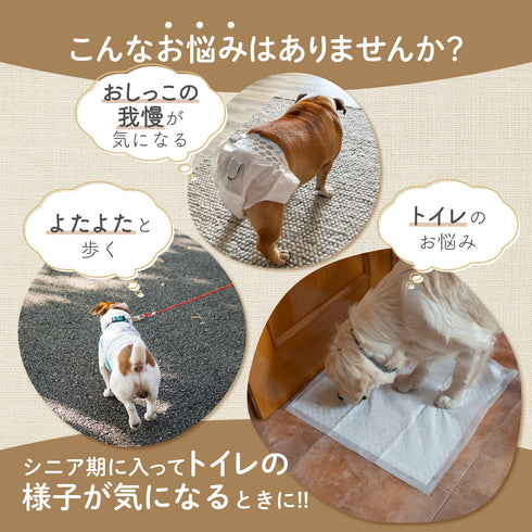 もれピタサプリ 和漢(20g/50g)鹿肉(50g/100g) 【動物病院取扱】尿漏れ 尿トラブル シニア犬 おしっこの我慢 老化 トイレ 足腰の弱り 犬おしっこ 犬用サプリメント ペットサプリ ふりかけ ペット和漢 鹿肉 国産 天然素材 食品添加物無添加 健康サプリ わんぽうやく