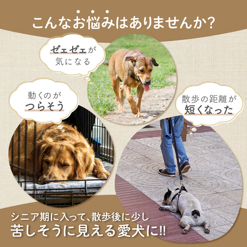 ルンルンサプリ 和漢(20g/50g)鹿肉(50g/100g) 【動物病院取扱】心臓の不安 アレルギー すぐに息があがる 犬用サプリメント ペットサプリ ふりかけ ペット和漢 鹿肉 国産 天然素材 食品添加物無添加 健康サプリ わんぽうやく