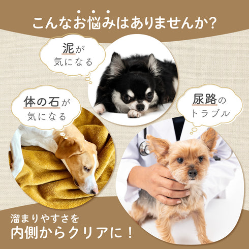 ドロとけサプリ 和漢(20g/50g)鹿肉(50g/100g) 【動物病院取扱】胆泥 結石ケア 膀胱 尿路 泥 石 腎臓 泌尿器サポート ストルバイトケア 胆泥ケア 犬用サプリメント ペットサプリ ふりかけ ペット和漢 鹿肉 国産 天然素材 食品添加物無添加 健康サプリ わんぽうやく