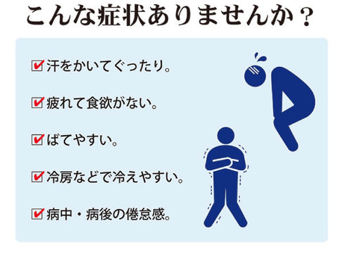 生脈宝 しょうみゃくほう 30包 滋養強壮 肉体疲労 胃弱 食欲が出ない時 冷え症 血色不良 松浦薬業 粉薬 第3類医薬品