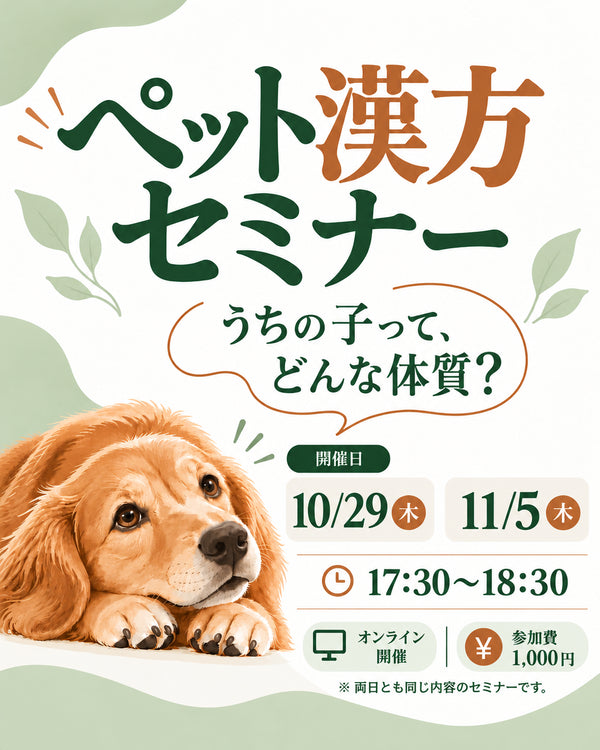【オンライン】ペット漢方セミナー|うちの子って、どんな体質?
