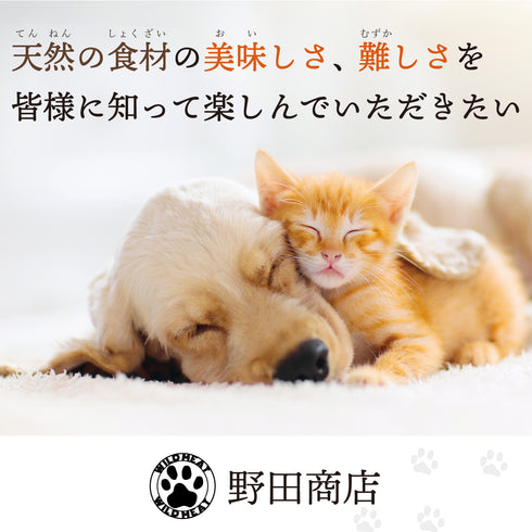 アキレス腱 あきれすけん 30g 鹿 京都府産 国産 無添加 デンタルケア 希少部位 ペット アレルギー 小型犬 中型犬 大型犬 超大型犬 犬用おやつ ペットフード ごほうび ドッグガム 歯磨き 野田商店