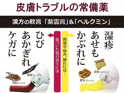 紫雲膏 しうんこう 20g【チューブ】塗り薬 乾燥 皮膚疾患 しもやけ あかぎれ ひび 火傷 外傷 痔 漢方の軟膏 皮膚トラブルの常備薬 松浦薬業 外用薬 第2類医薬品